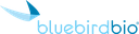 Bluebird-Logo-Full-Color.png
